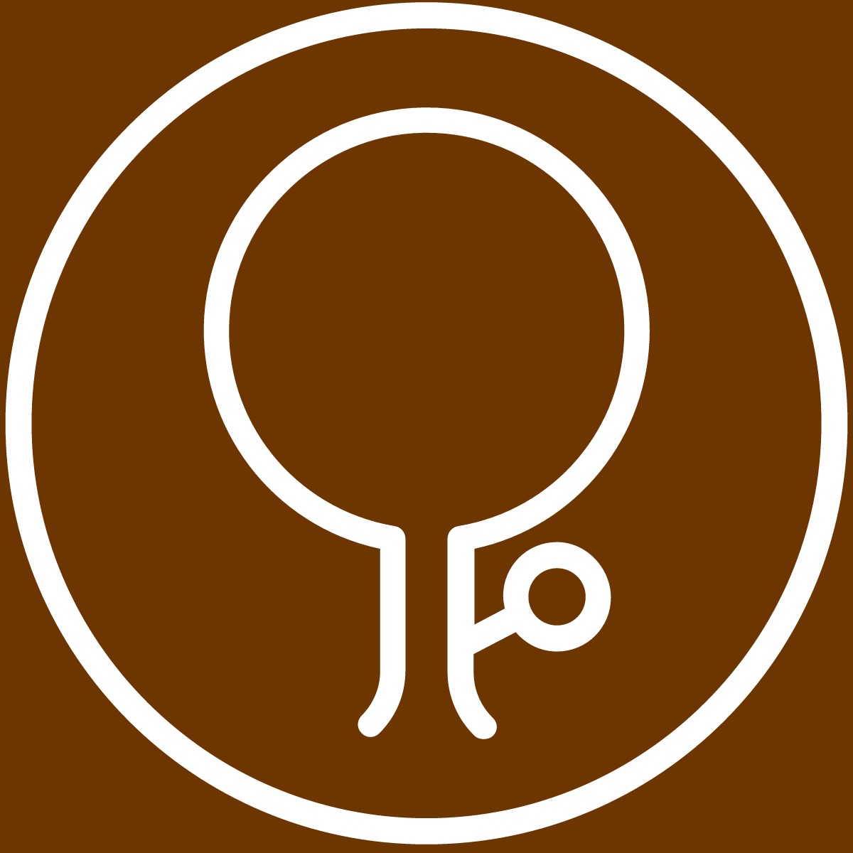 DevSpot logo: a white outlined emblem inside a circle on a brown background.